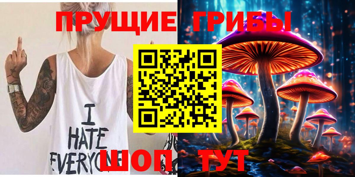Ковров  Псилоцибиновые грибы Cubensis  Вход с VPN 